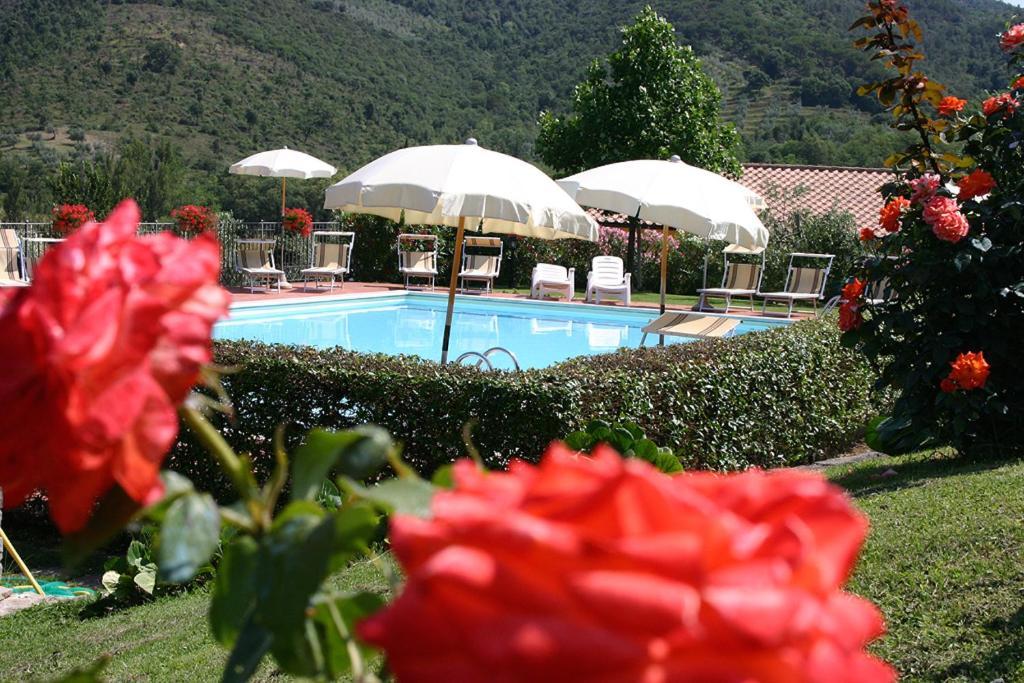 كورتونا Agriturismo Cortoreggio المظهر الخارجي الصورة