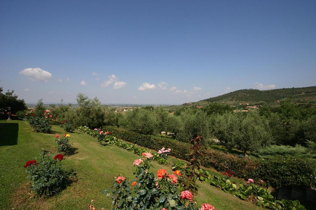كورتونا Agriturismo Cortoreggio المظهر الخارجي الصورة