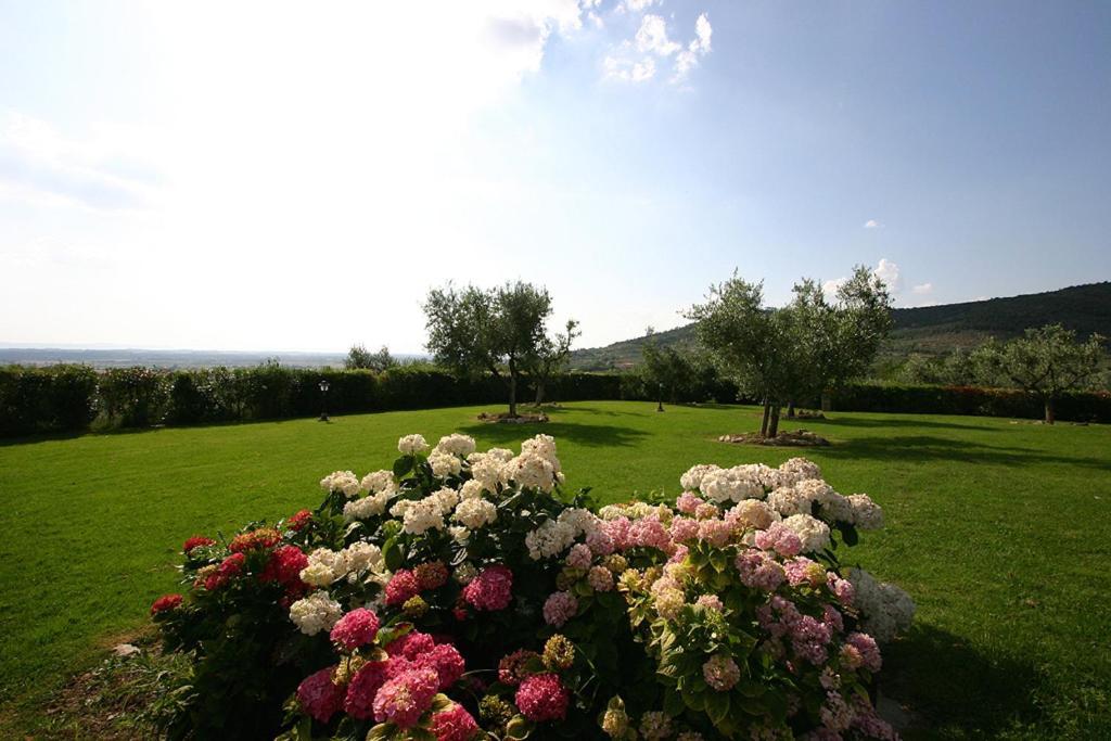 كورتونا Agriturismo Cortoreggio المظهر الخارجي الصورة