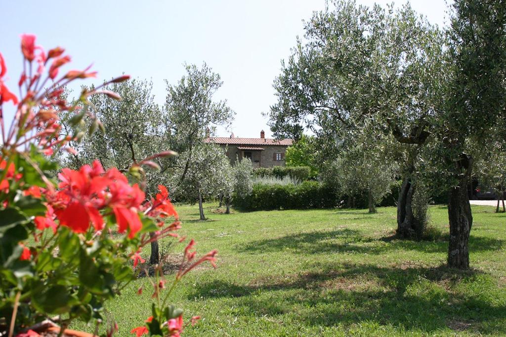 كورتونا Agriturismo Cortoreggio المظهر الخارجي الصورة