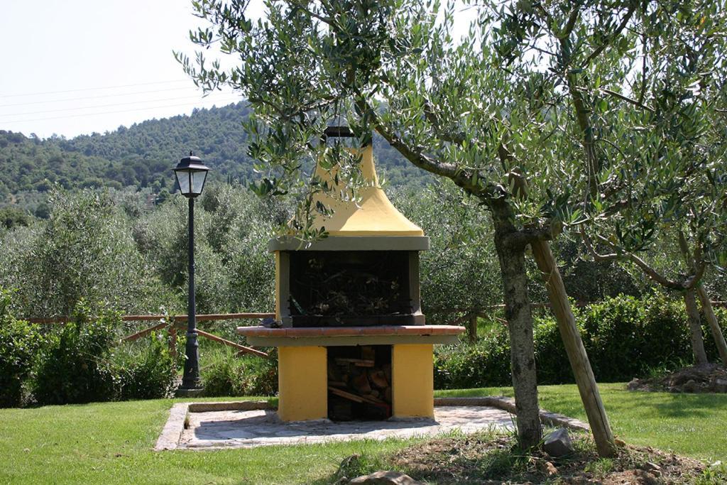 كورتونا Agriturismo Cortoreggio المظهر الخارجي الصورة
