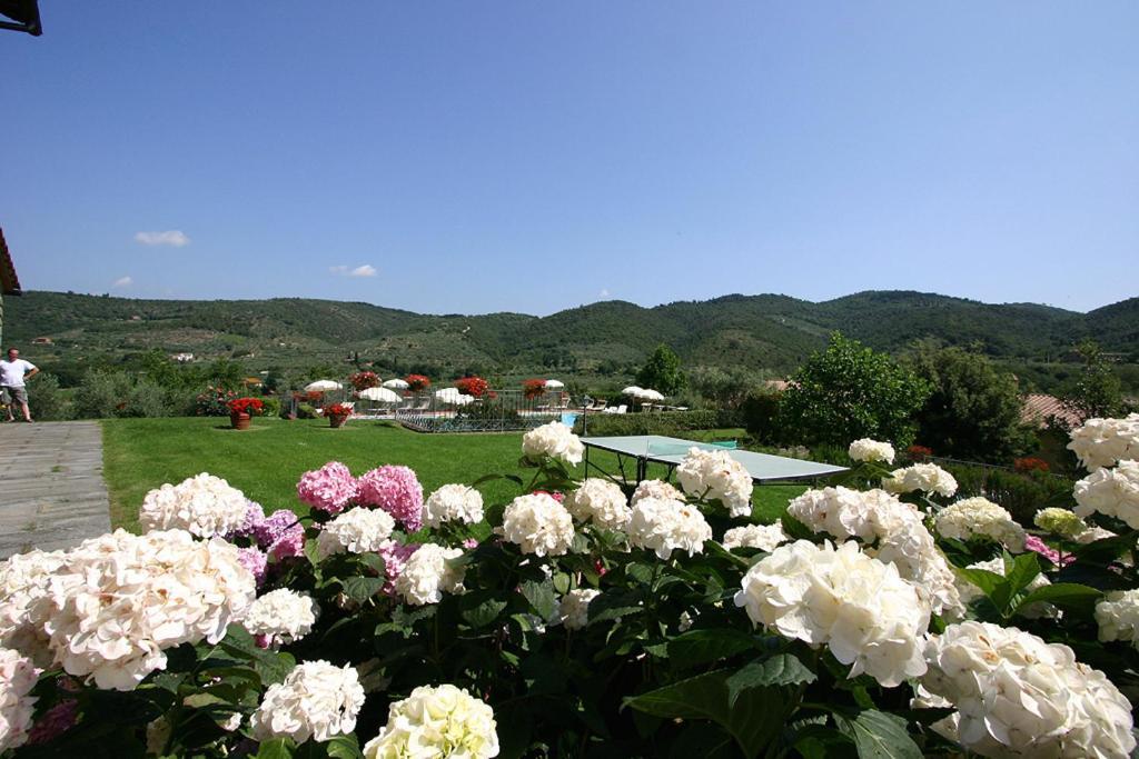 كورتونا Agriturismo Cortoreggio المظهر الخارجي الصورة